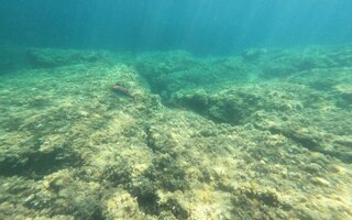 5ª edição da SP Ocean Week | Na Cidade