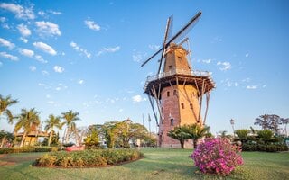 Conhecer os moinhos e os jardins floridos de Holambra