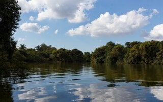 Parque Ecológico do Tietê