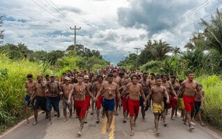 38º Panorama da Arte Brasileira: Mil graus no MAC-USP | Exposição