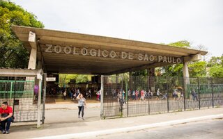 Passear no Zoo de São Paulo