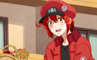 Cells at work: Temporada 2 | Anime