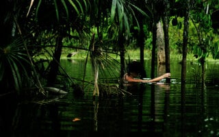 Vetores-Vertentes: Fotógrafas do Pará | CCBB