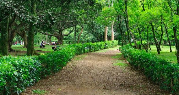 Ibirapuera e região central de SP ficarão fechados para carros neste domingo