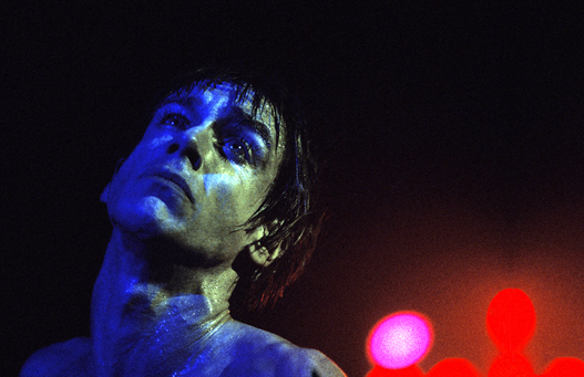 Iggy Pop