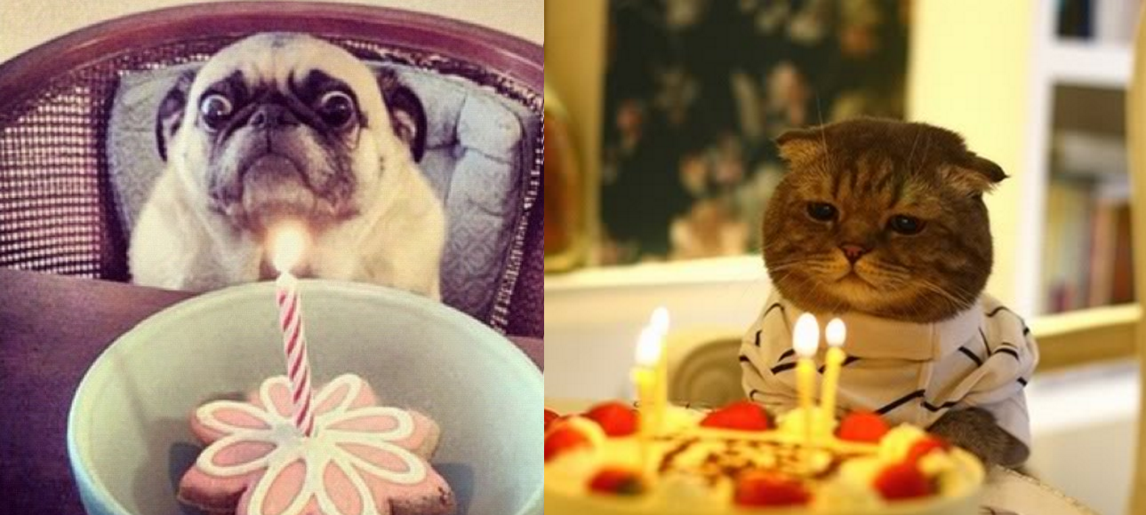 21 coisas que só quem odeia comemorar aniversário vai entender