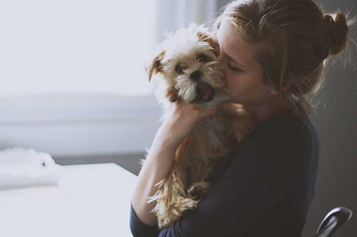 22 situações que só quem tem um cachorro pequeno pode entender