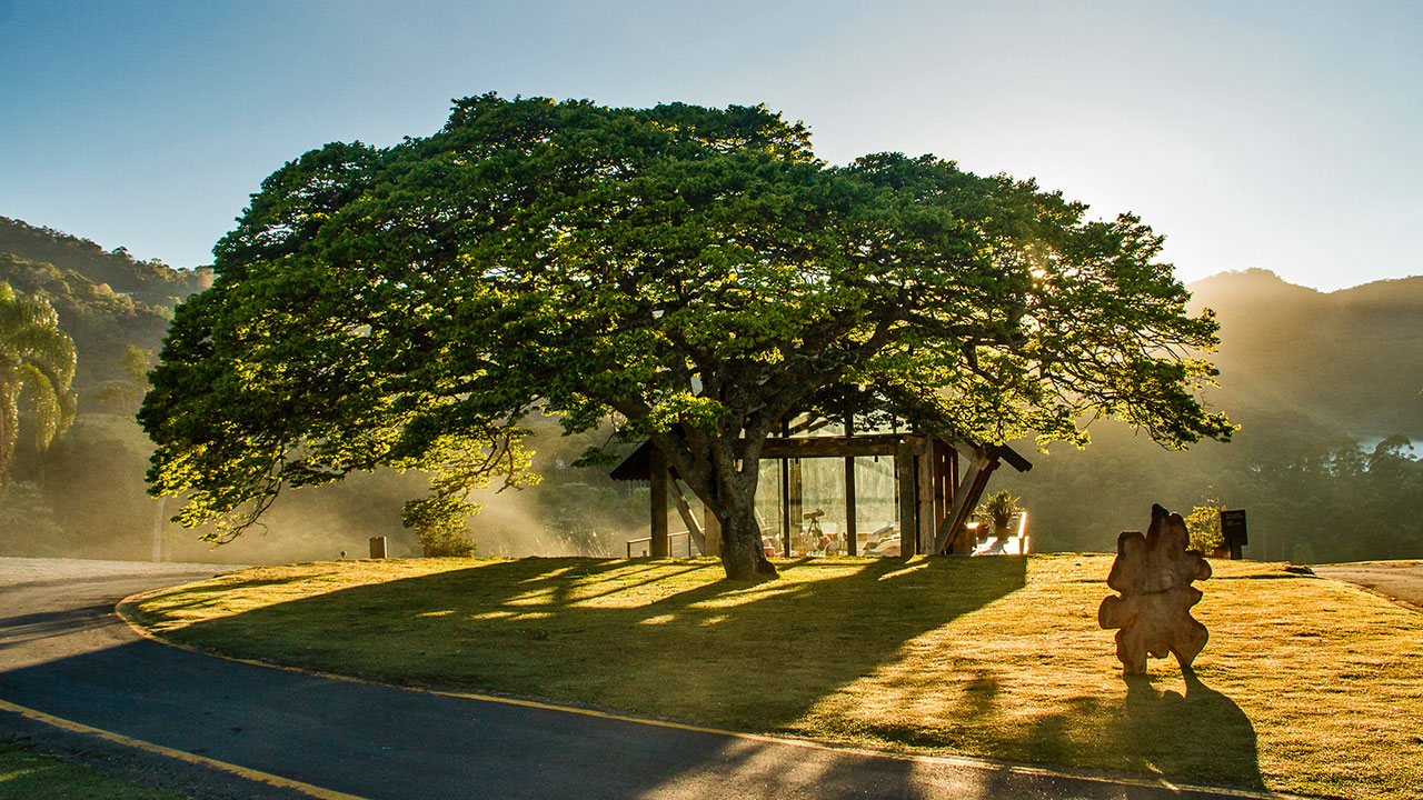 6 pousadas e hotéis para entrar em contato com a natureza próximos a São Paulo