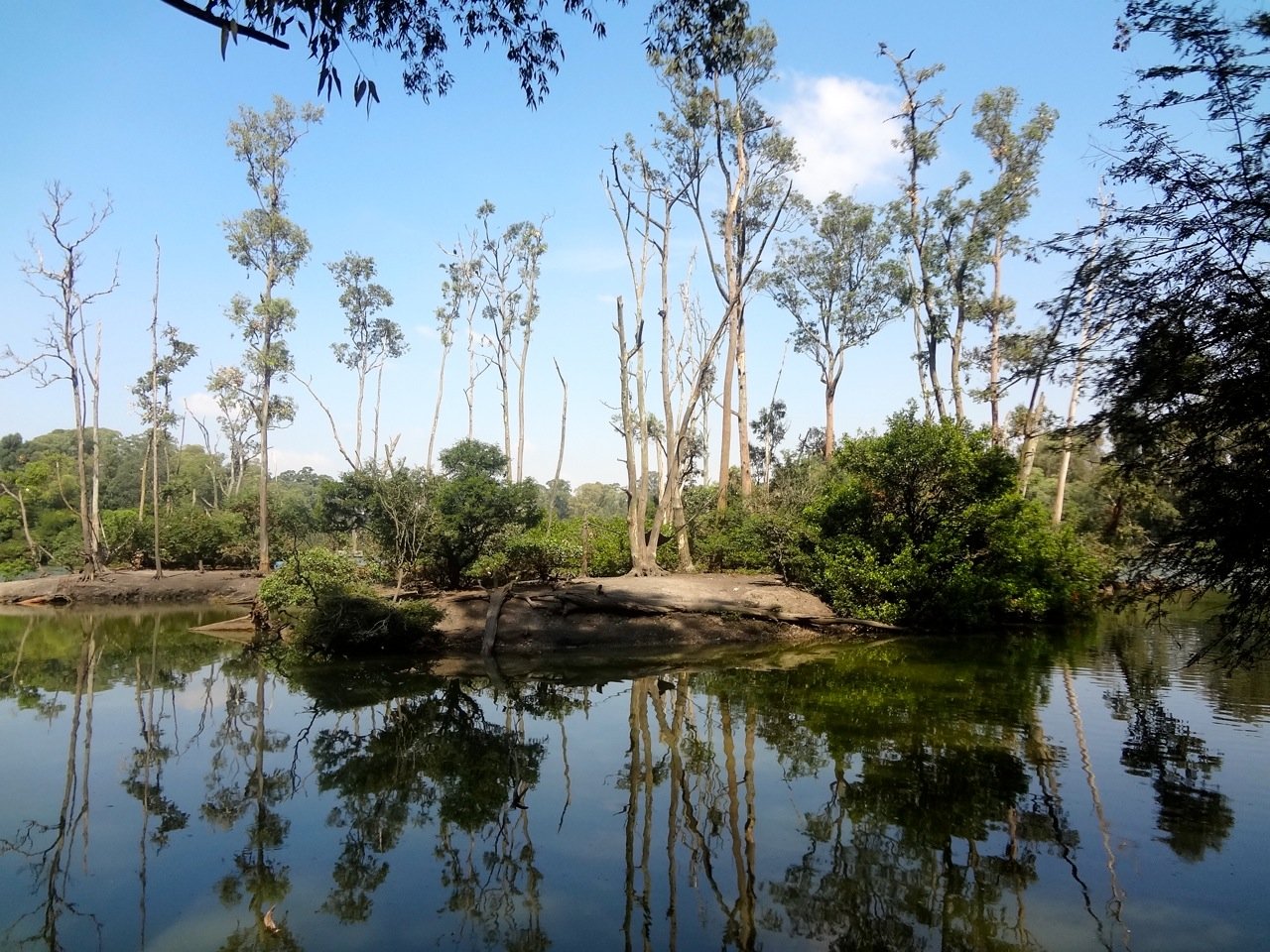 10 lugares na região metropolitana de SP perfeitos quem gosta de natureza