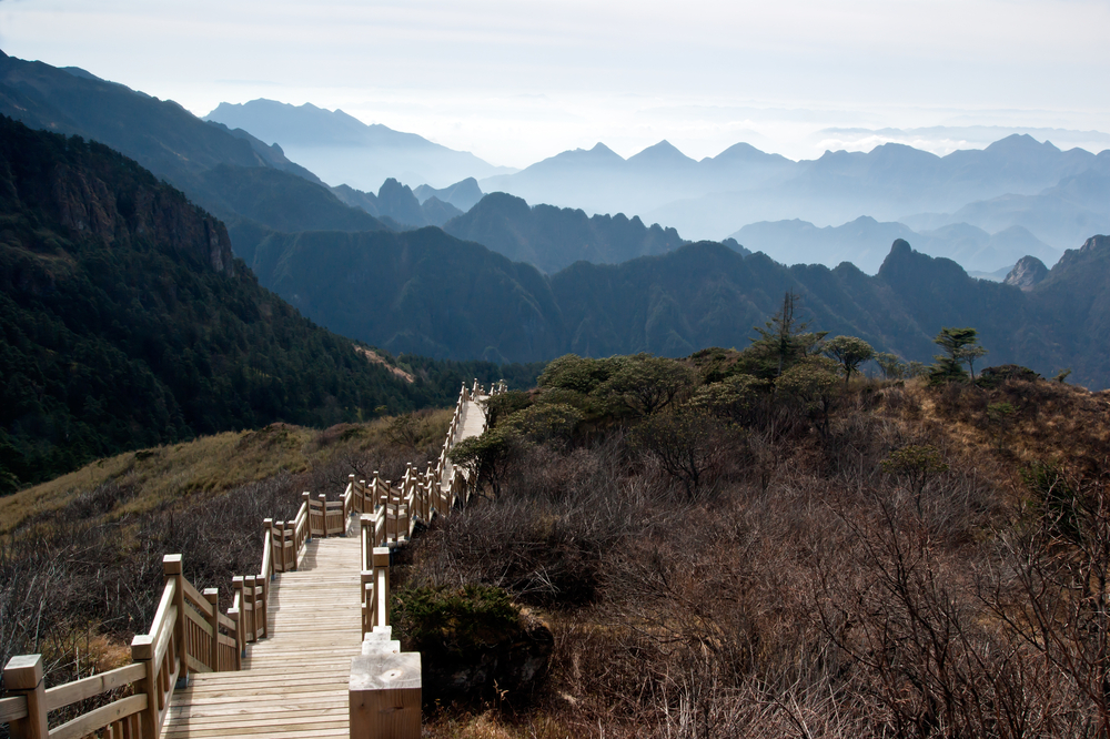 Floresta de Shennongjia, China